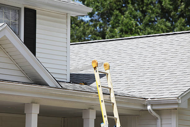 Best Stucco Siding  in Cohoe, AK