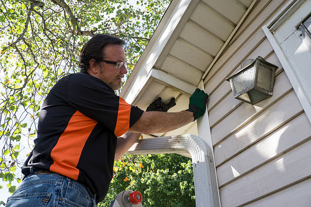 Best Fascia and Soffit Installation  in Cohoe, AK